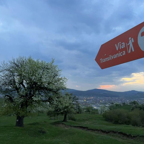 Acțiuni de ecologizare în Parcul Perilor Seculari, împreună cu Via Transilvanica