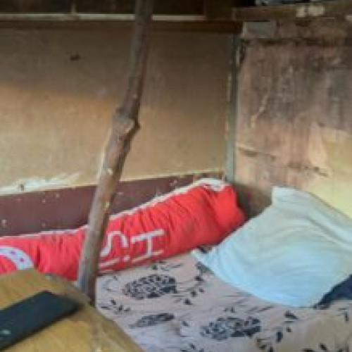 Ministrul Familei despre tragedia copilului legat in cusca la o stana din Brasov: Doar impreuna putem pune capat acestor situatii!