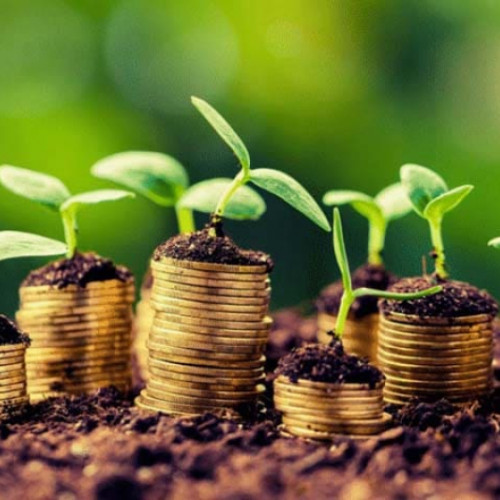 Depunerea cererilor de plată pentru anul 2024 la APIA a început!