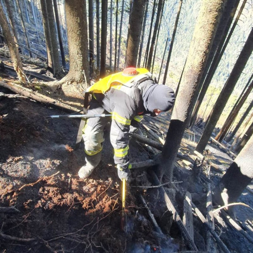 Incendiul din munții Făgăraș, stins după două zile