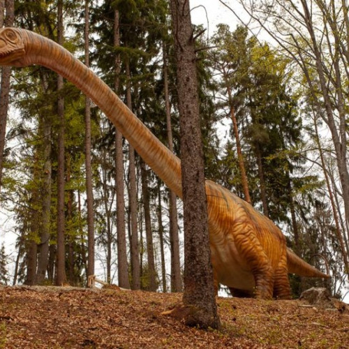 Dino Parc Râşnov, cel mai popular parc tematic din România, a atras peste 450.000 de vizitatori anul trecut