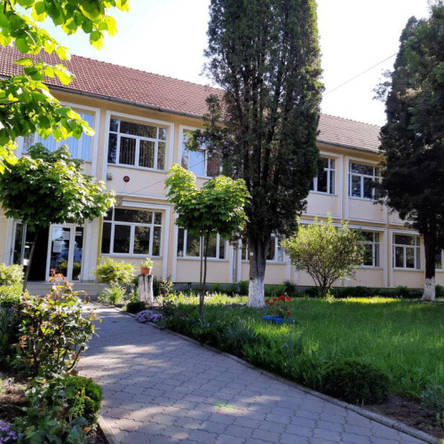 - "Trei cazuri grave de violenţă în şcoli mureştene, judiciu deschis pentru infracţiunea de lovire şi alte violenţe