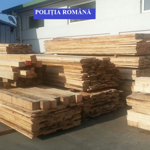 Amendă pentru nerespectarea legii privind depozitarea materialului lemnos în Titu