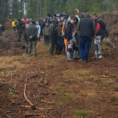 Tinerii din Gheorgheni plantează 3.000 de arbori pentru viitor