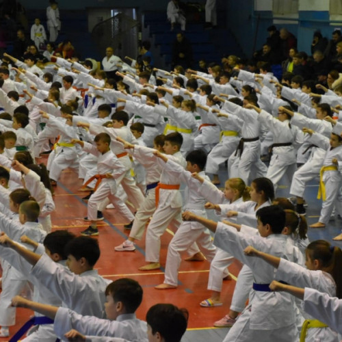 600 copii luptă în Campionatul Național de karate tradițional la Galați