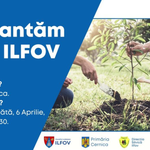 Ilfov: Acțiune de plantare în Cernica cu sprijinul autorităților locale și organizațiilor non-guvernamentale