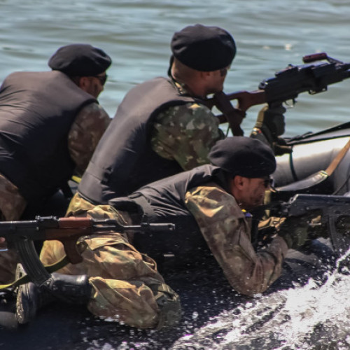 Peste 2.200 de militari din mai multe state vor participa la exerciţiul „Sea Shield 24” în Marea Neagră și Delta Dunării