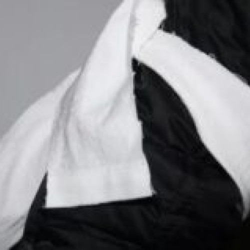 Miting japonez în muzeele și bibliotecile publice din România