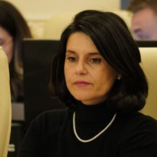 Deputata Ana Loredana Predescu verifică situația podului de la Cincu