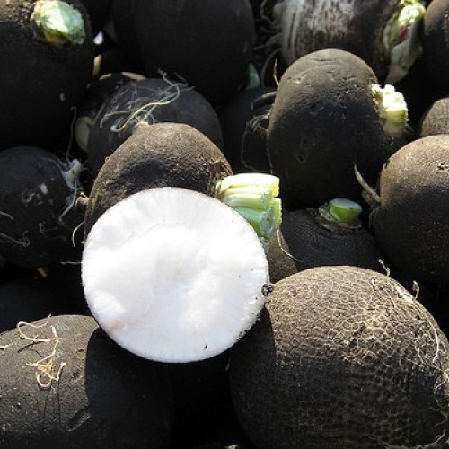 Beneficiile uimitoare ale ridichii negre - recomandări de consum și posibile reacții adverse