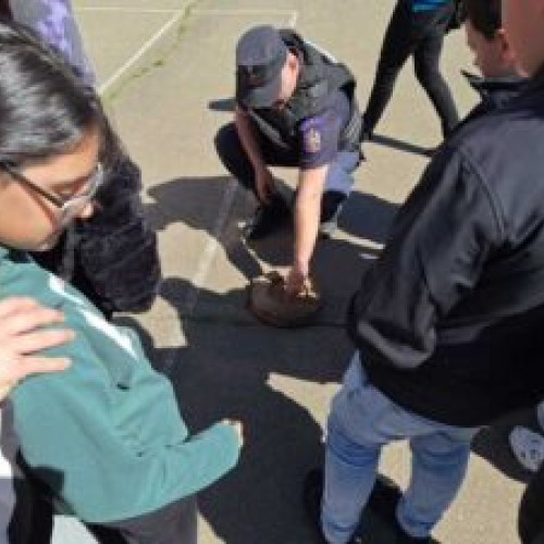 Elev din Iași dus la școală cu stabilizator de bombă. Intervenție de urgență a pirotehniștilor. Incident la o școală din Mogoșești Siret. Echipa pirotehnică de la ISU Iași a ridicat elementul de muniție.