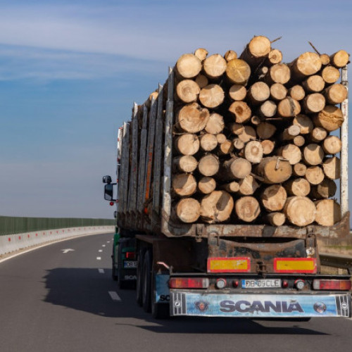 Metoda hoților de lemn de a înșela sistemul SUMAL pentru defrișări ilegale, descoperite prin inteligența artificială