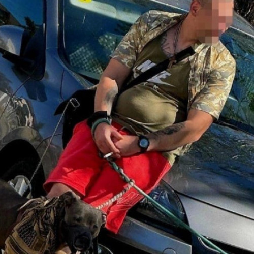 Bărbat prins în flagrant cu droguri și câini periculoși în apropiere de un liceu din Iași