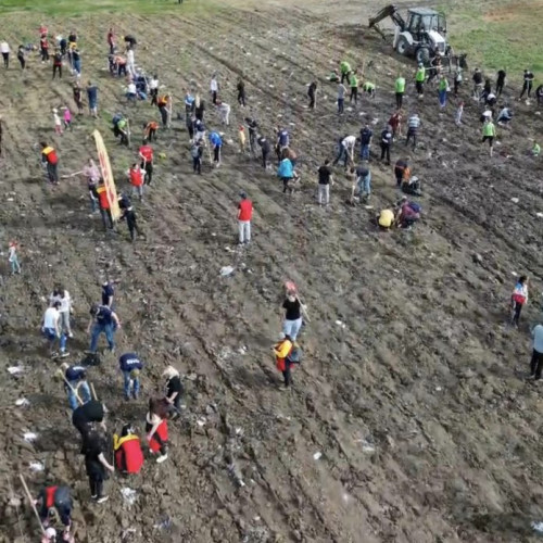 Plantare de 8500 de arbori într-un nou parc natural din Cernica - VIDEO