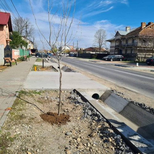 Săptămână intensă de dezvoltare în Petrești: lucrări în desfășurare pentru comunitate și modernizarea școlilor și parcurilor