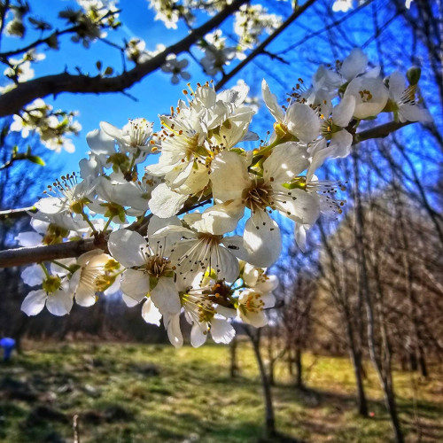 Săptămâna începe cu vreme caldă în Dâmbovița. Urmează scăderi de temperatură