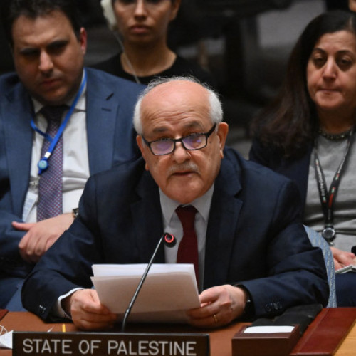 Palestina ar putea deveni membru cu drepturi depline al ONU în curând