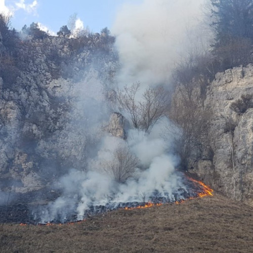 Sute de hectare de vegetaţie distruse de incendiile din Harghita în primele luni ale acestui an