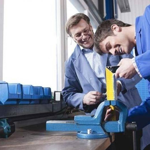 Tineri angajați prin programe de ucenicie, sprijinite de ANOFM: 16.000 de persoane au obținut un loc de muncă. Angajatorii primeau subvenții de până la 2.250 lei. Strategia guvernului Ciolacu include și dezvoltarea învățământului dual.