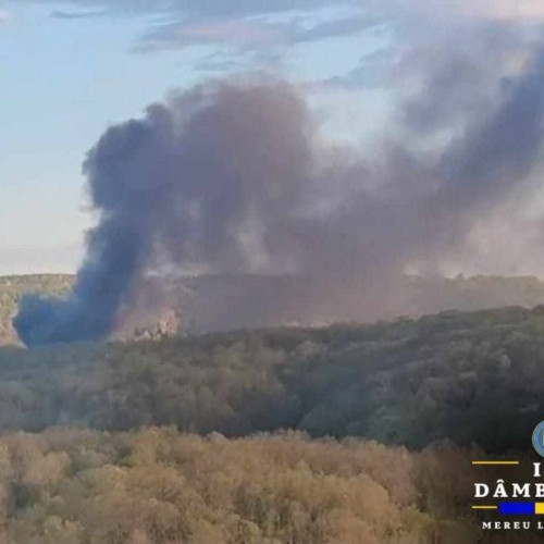 Puternic foc la Moreni! Pompierii au intervenit cu succes!