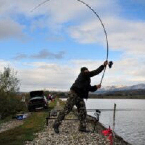 Prohibiţia generală de pescuit a început în România! Apele naturale vor fi protejate timp de două luni.