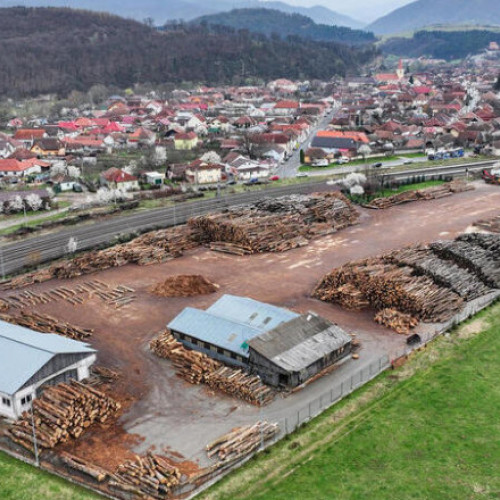 Greenpeace acuză IKEA că folosește lemn „din ultimele păduri naturale” din Carpaţi. Cum răspunde producătorul de mobilă