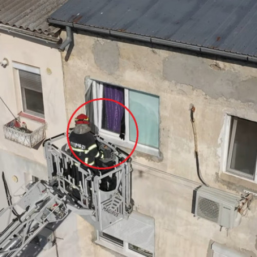 Pisica blocată în geamul rabatat a fost salvată de pompierii din Tulcea