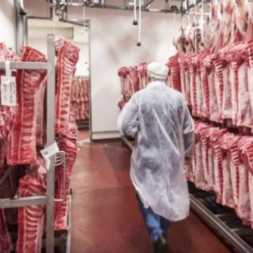 Creștere în producția de carne de porc în România în februarie 2024