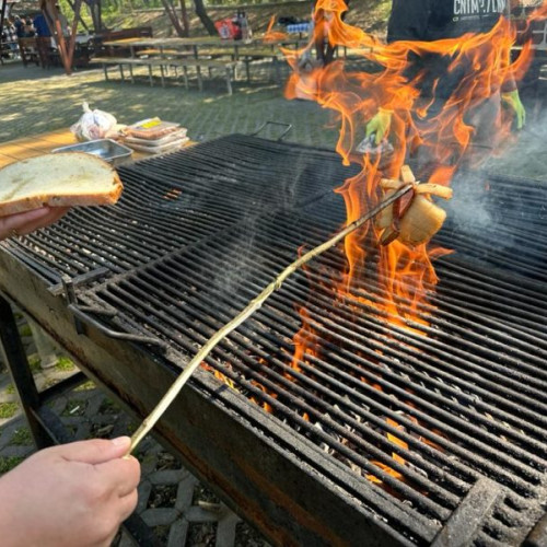 Zona de picnic, o destinație populară în Târgu Mureș: reguli de igienă și administrare