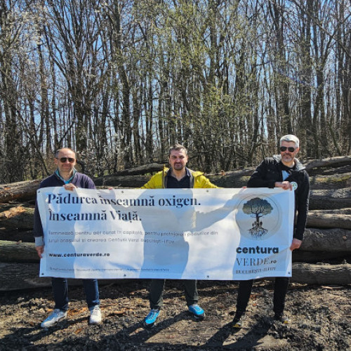 Proiectul de lege privind Centura Verde Bucureşti-Ilfov va fi inclus în Codul Silvic. Ce prevăd amendamentele depuse