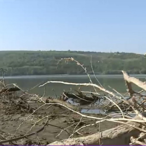 Dunărea secată: Autoritățile din Dolj trag un semnal de alarmă privind consumul de apă