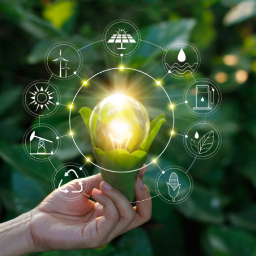 (P) România se îndreaptă către un viitor mai verde