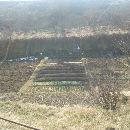 Apa CTTA SA din Alba face un apel către consumatori: să nu utilizeze apa potabilă pentru scopuri agricole!