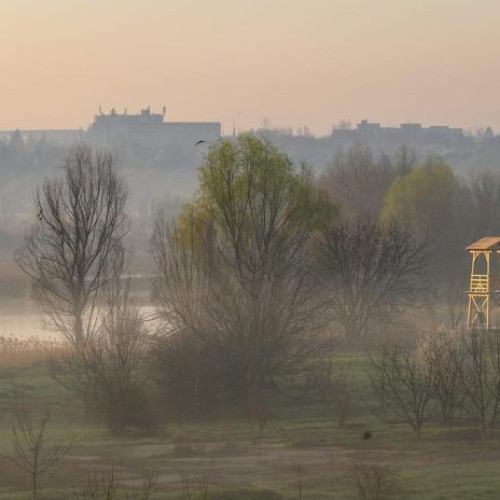 Acțiune de ecologizare în Parcul Natural Văcărești organizată de Primăria Capitalei