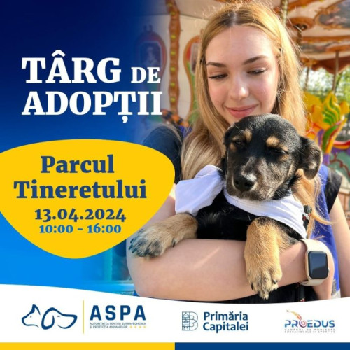 Târg de Adopții pentru Căței în Parcul Tineretului, organizat de Primăria București
