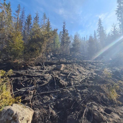 Pompierii luptă de 12 ore pentru stingerea unui incendiu forestier în Lăpuşna-Ibăneşti