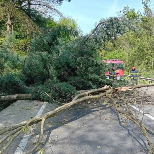 Aparat plin pe drumul principal din Corunca: Circulație blocată