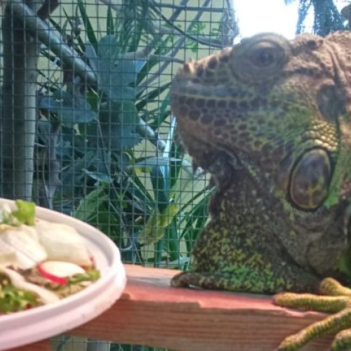 Activități speciale la Zoo Târgu Mureș de Ziua Pământului pentru posesorii de abonamente