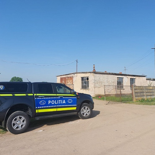 Percheziții la firma din Beltiug suspectă de uciderea albinelor cu insecticid