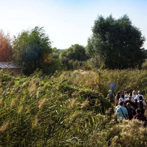 Zeci de tone de gunoaie ecologizate din Parcul Natural Văcăreşti de voluntari şi Primăria Capitalei