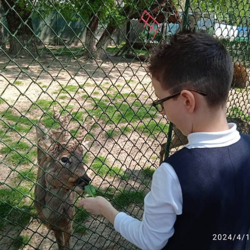 Micii Beneficiari ai Centrului de Zi "Sfânta Maria" au Petrecut Ziua Plină de Bucurii la Grădina Zoologică din Târgoviște