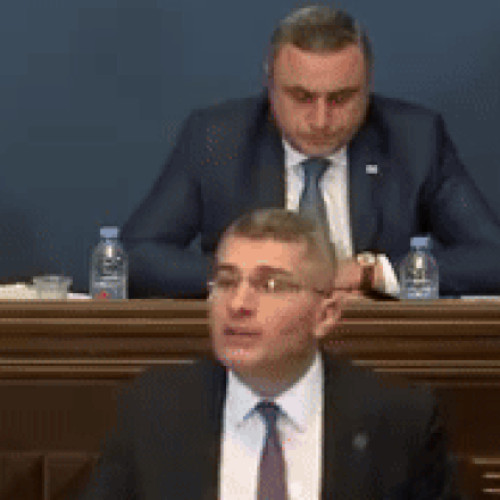 Conflict între parlamentarii georgieni din cauza proiectului de lege criticat de occidentali și respins de UE și SUA