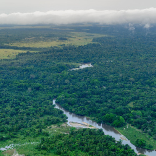 Prăbușire tragică în Congo: 12 morți și peste 50 de persoane date dispărute după furtuna puternică