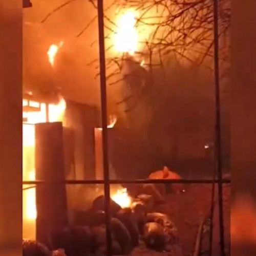 Tragedie în Grădina Zoologică din Crimeea: Peste 200 de animale exotice au murit într-un incendiu devastator.