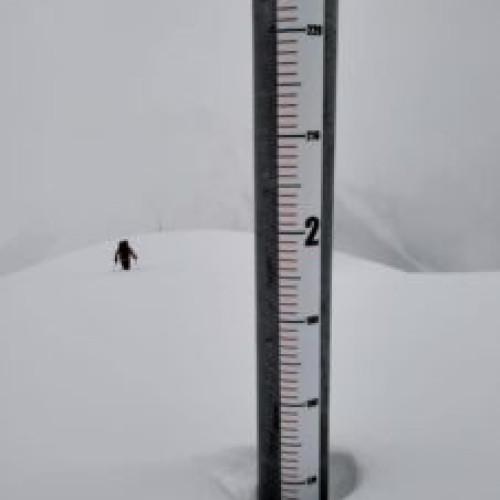 Drumul Transfăgărășan, în continuare închis datorită zăpezii