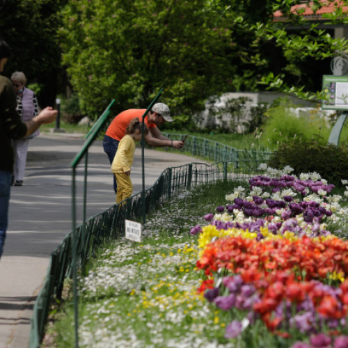 Prognoze meteo pentru următoarele patru săptămâni: când cresc temperaturile și când se încheie ploile