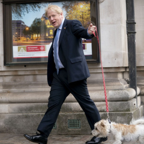 Probleme cu purici la reședința premierului britanic din Downing Street 10: Ministrul de finanțe, Jeremy Hunt, a făcut schimbări costisitoare