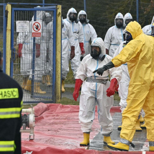 OMS spune că riscul infectării oamenilor cu gripa aviară este o „preocupare enormă”. „Rata mortalității este extraordinar de mare”