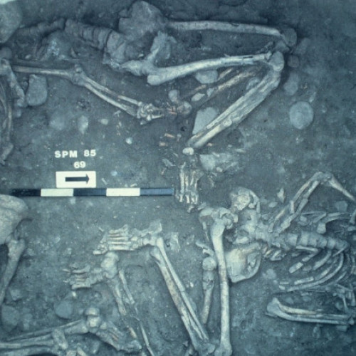 Schelete antice dezgropate în Franța arată că victimele au fost sacrificate cu o metodă de tortură folosită și azi de mafia italiană