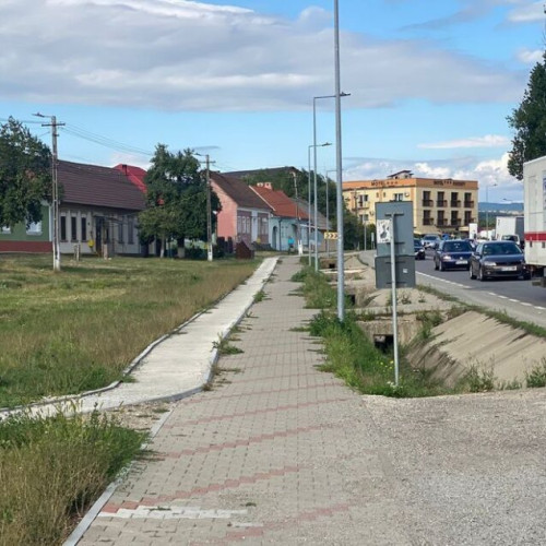 Defrișări și amenajări de spații verzi în Unirea și Viișoara - 13,7 milioane lei